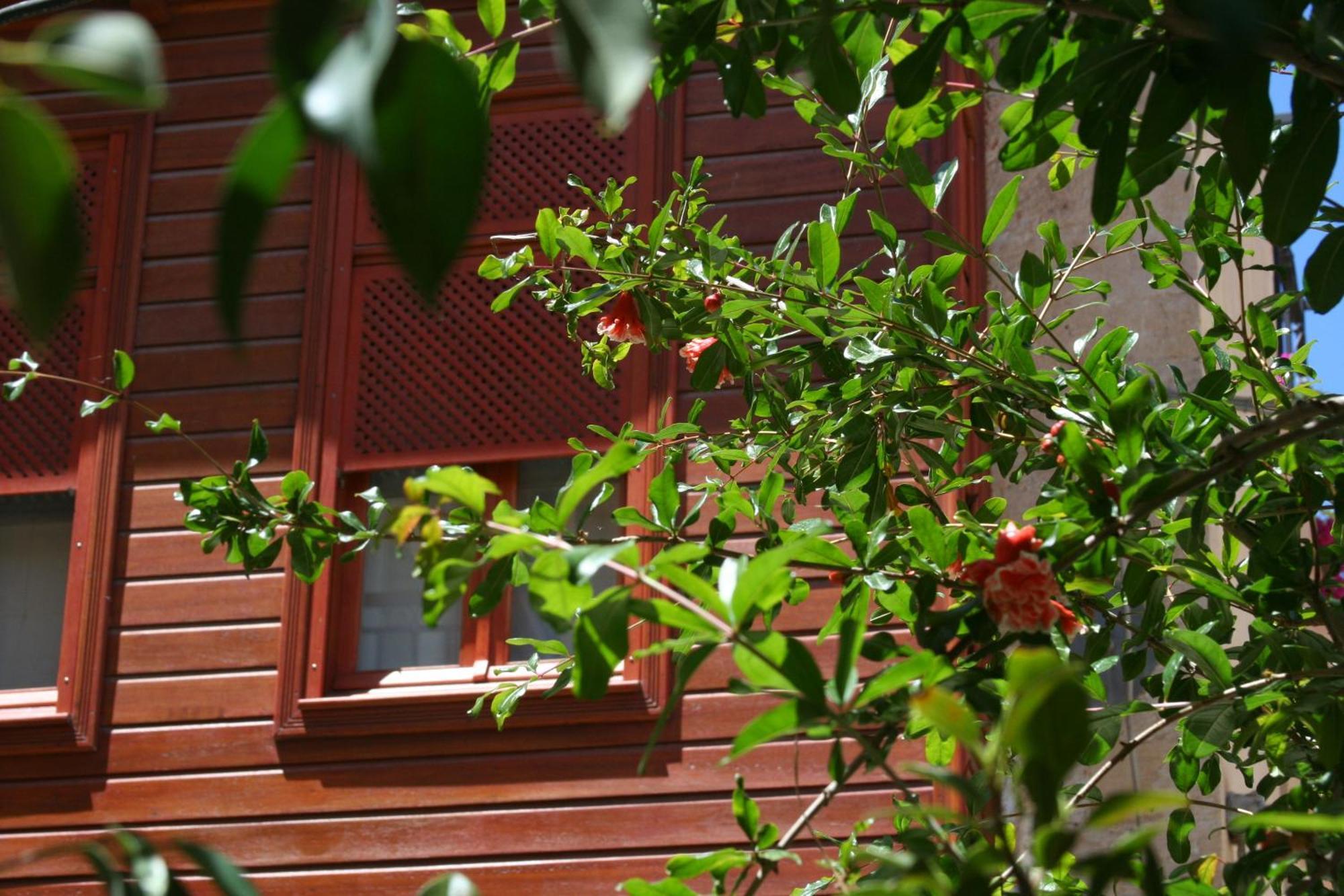 Ionas Boutique Hotel Ханья Экстерьер фото